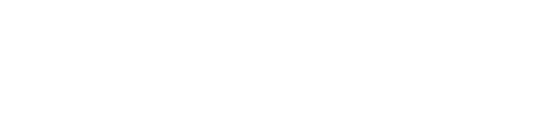 NT4Sports Logo